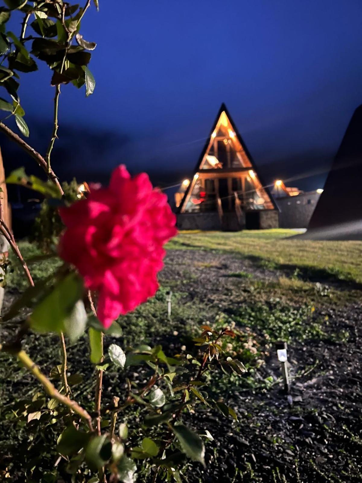 Sanseco Cottage カズベギ エクステリア 写真